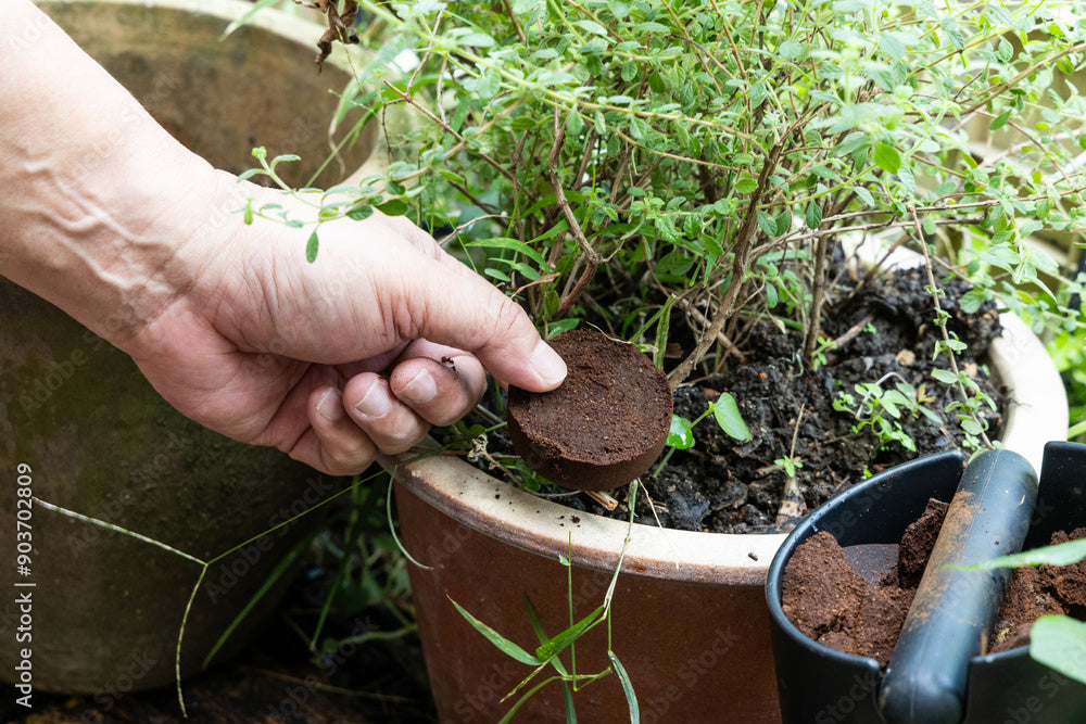 Direct Soil Application